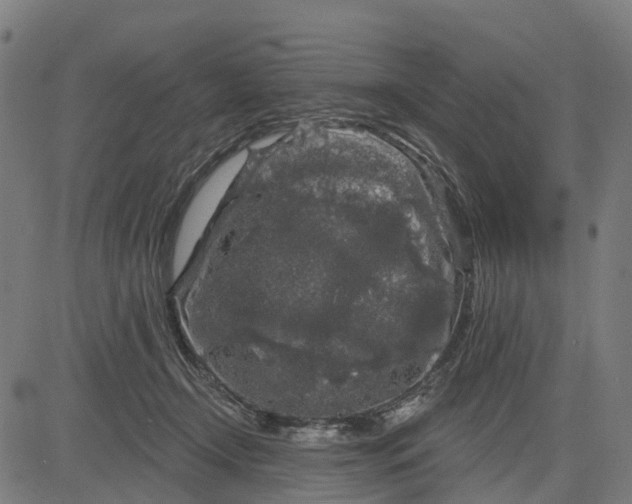 X0000084560366200703091751