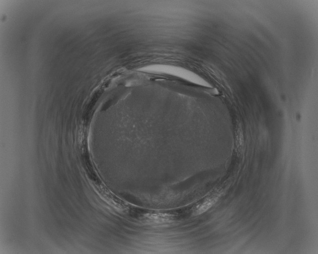 X0000084560367200703091751