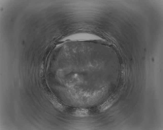 X0000084560369200703091751