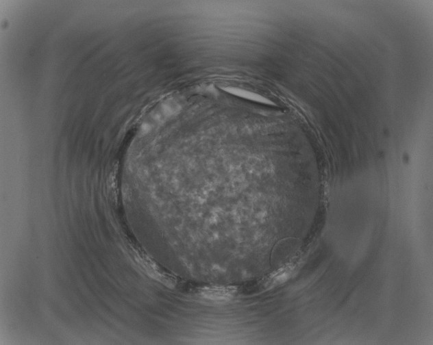 X0000084560373200703091751