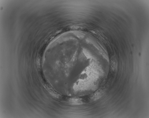 X0000084560375200703091751