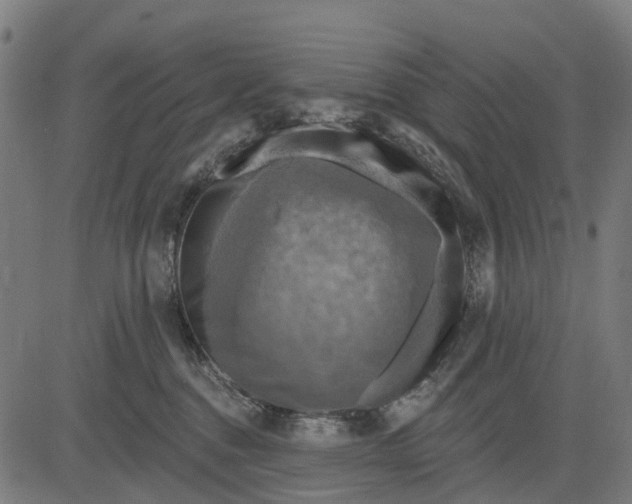 X0000084560376200703091751