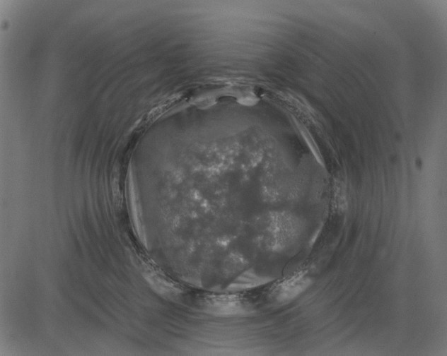 X0000084560377200703091751