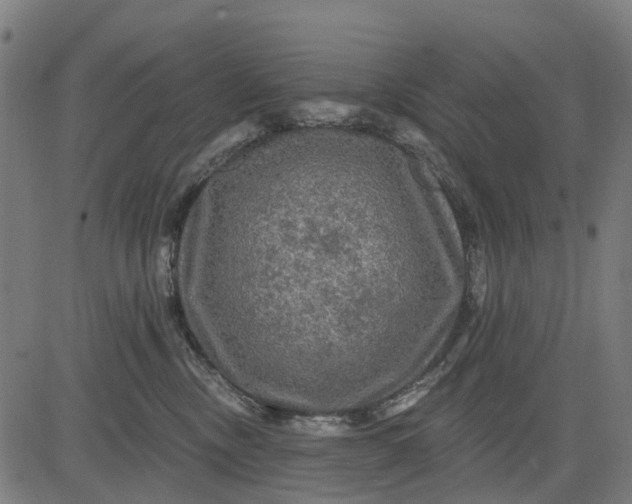 X0000084560378200703091751