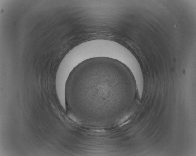 X0000084560380200703091751