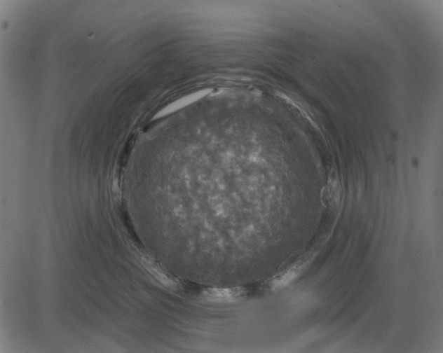 X0000084560381200703091751