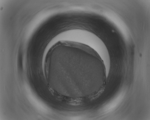 X0000084560382200703091751