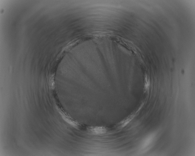 X0000084560383200703091751