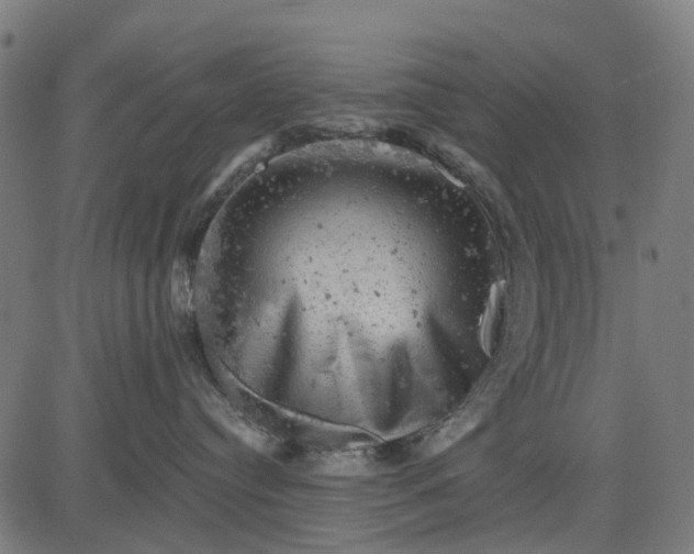 X0000084560384200703091751