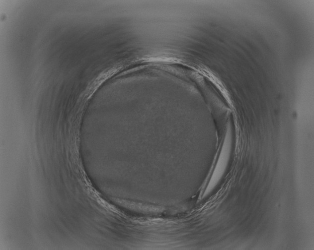 X0000084560385200703091751