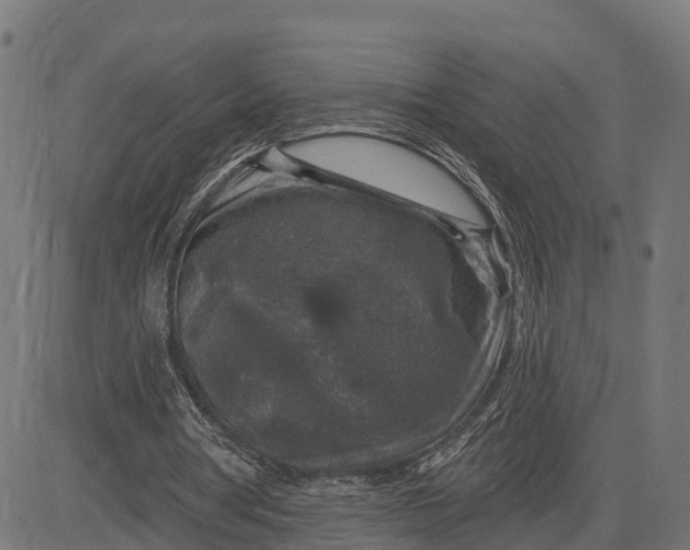 X0000084560386200703091750