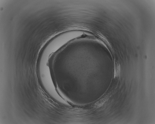 X0000084560387200703091750