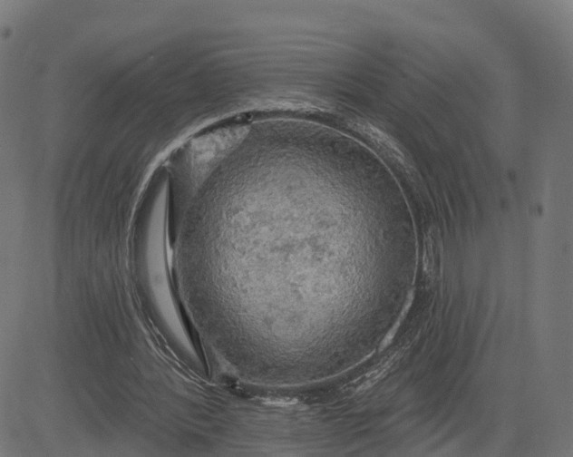 X0000084560388200703091750