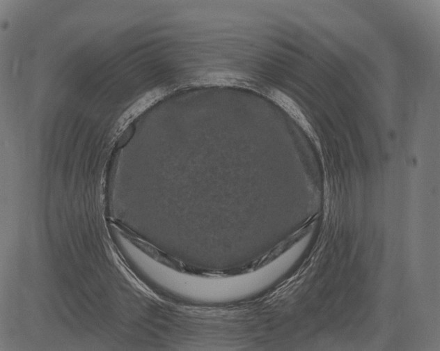 X0000084560389200703091750