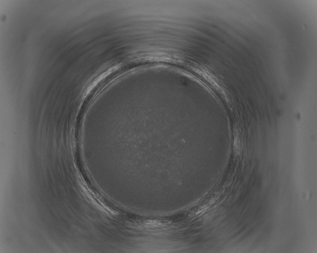 X0000084560390200703091750