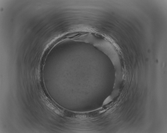 X0000084560391200703091750