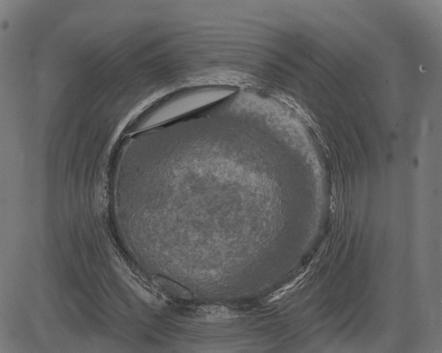 X0000084560392200703091750