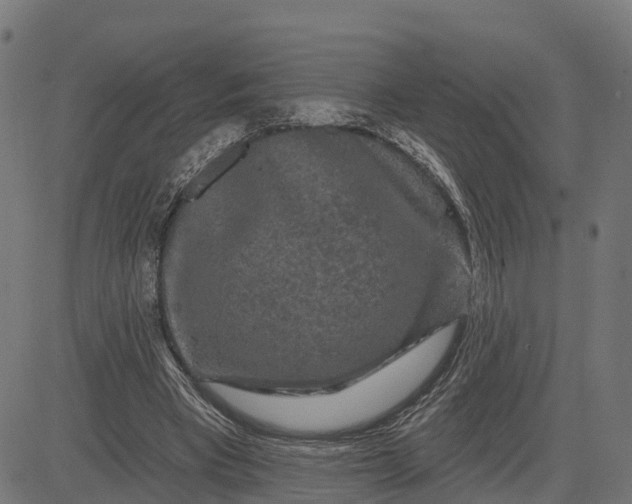 X0000084560393200703091750