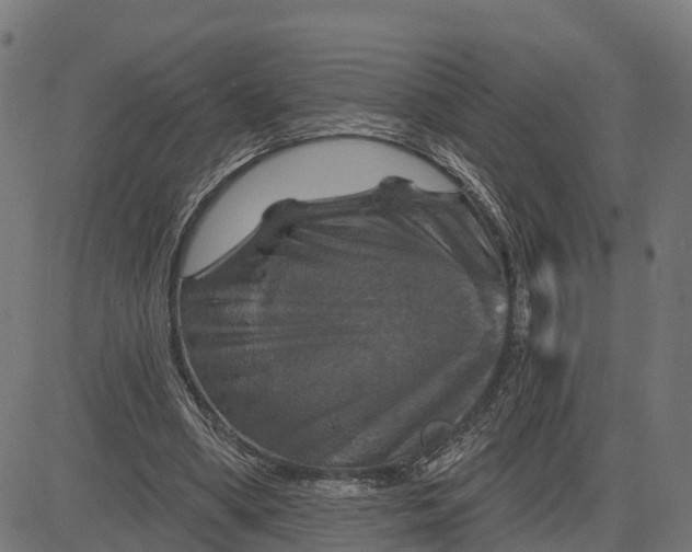 X0000084560394200703091750