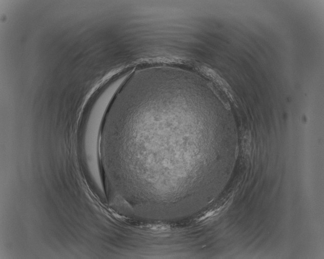 X0000084560395200703091750