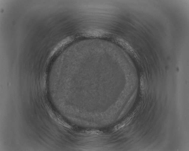 X0000084560396200703091750