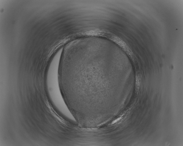 X0000084560397200703091750