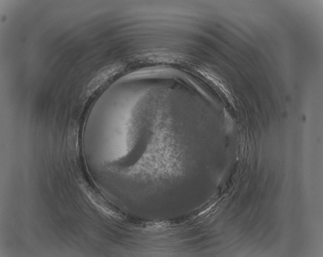 X0000084560398200703091750