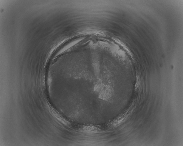 X0000084560399200703091750