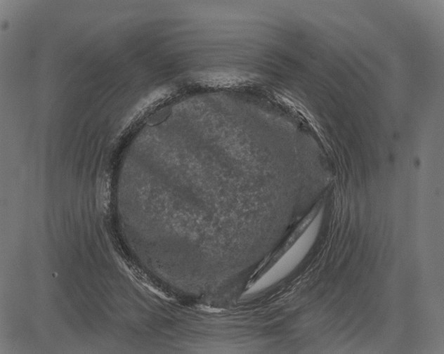 X0000084560400200703091750