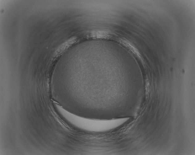 X0000084560401200703091750