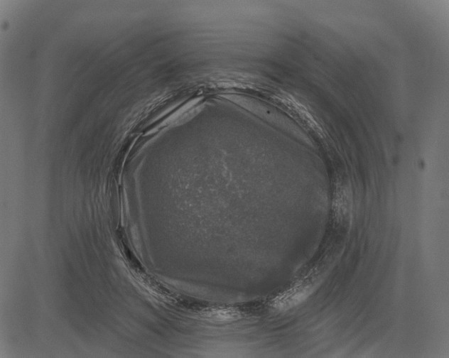 X0000084560402200703091750