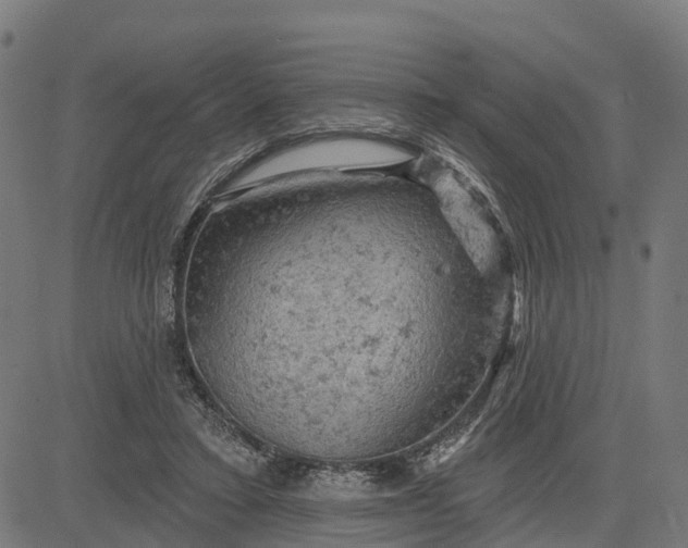 X0000084560403200703091750