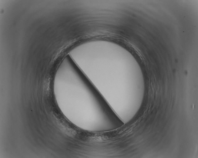 X0000084560404200703091750