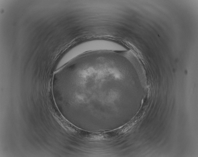 X0000084560405200703091750