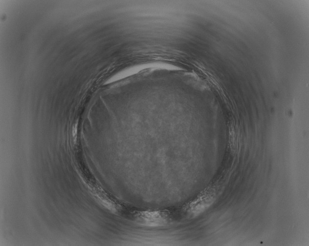 X0000084560406200703091750