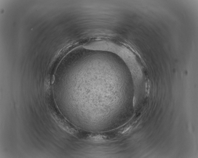 X0000084560407200703091750