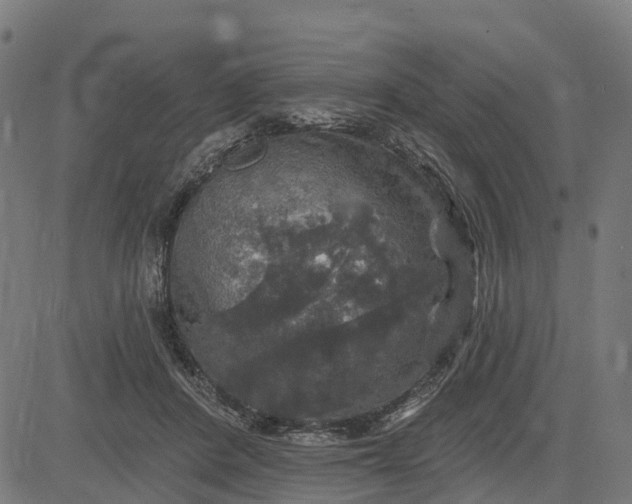 X0000084560408200703091750