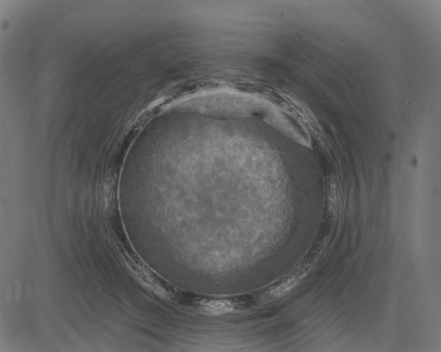 X0000084560409200703091750