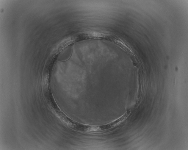 X0000084560410200703091750