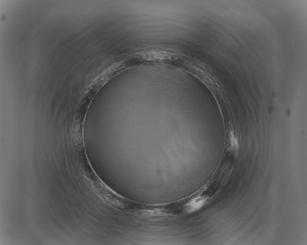 X0000084560411200703091750