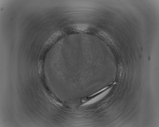 X0000084560412200703091750