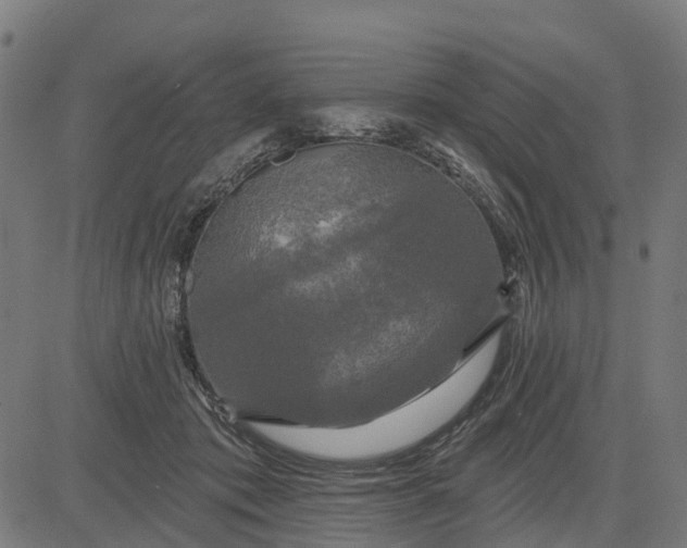 X0000084560413200703091750