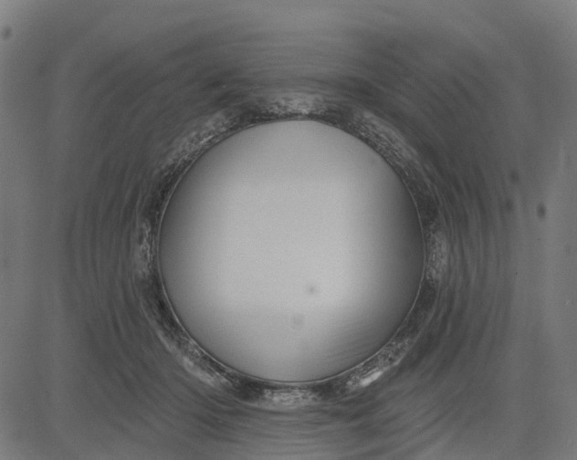 X0000084560414200703091750