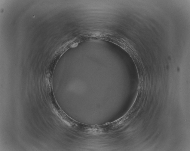 X0000084560415200703091750