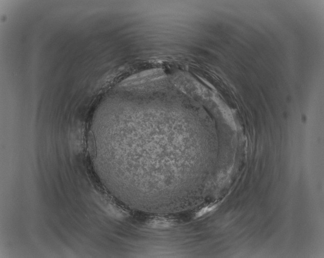 X0000084560416200703091750