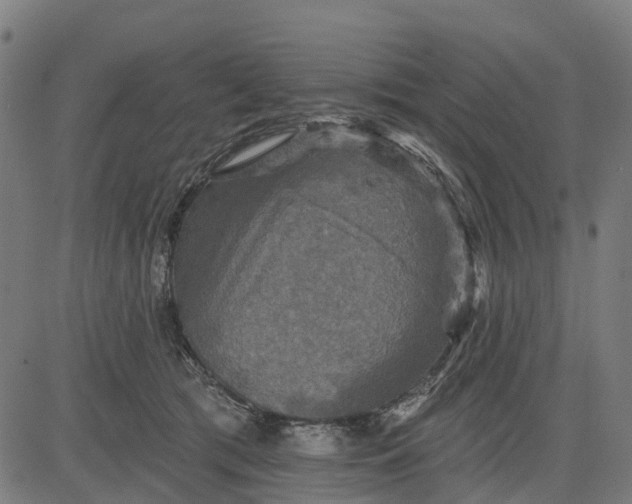 X0000084560417200703091750