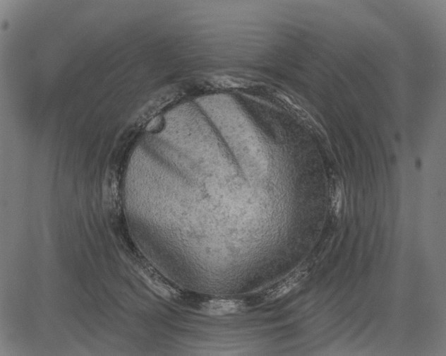 X0000084560418200703091750