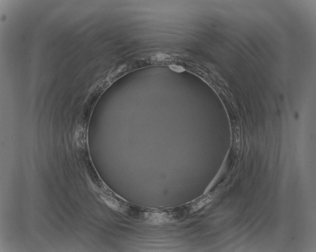 X0000084560419200703091750