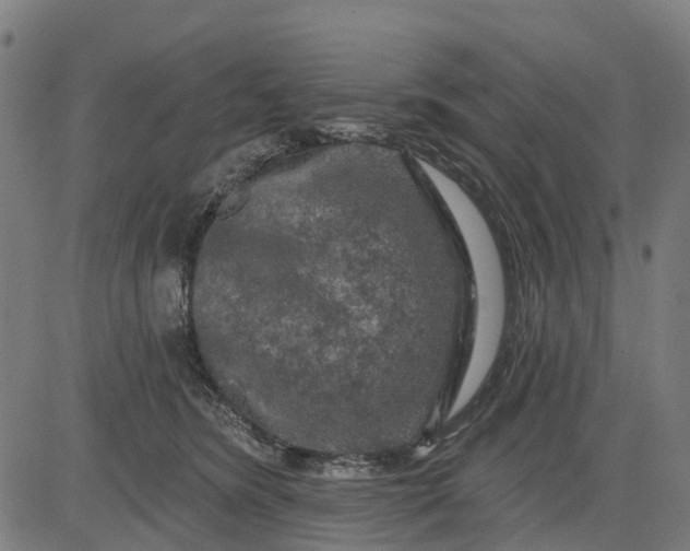 X0000084560420200703091750