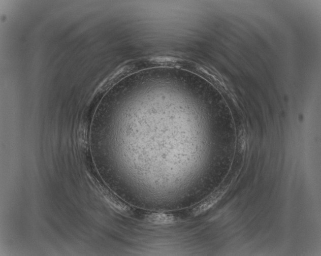 X0000084560421200703091750